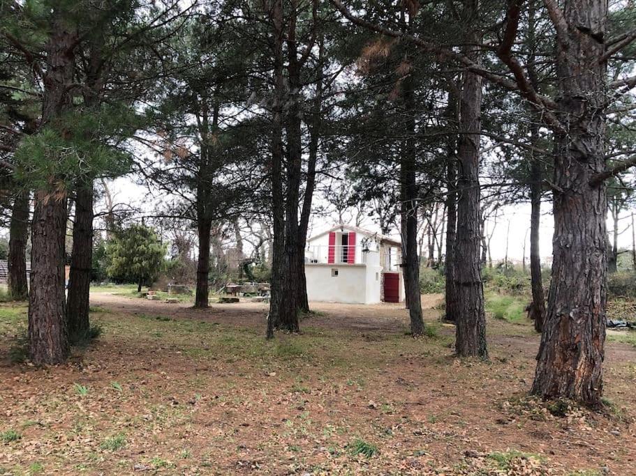 Le Cabanon De Vally Caromb المظهر الخارجي الصورة